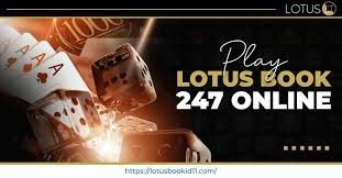 Lotusexch247